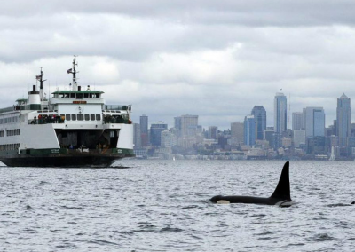 Washington launches program to cut underwater noise in Puget Sound