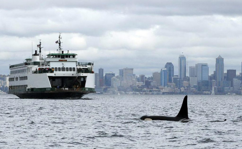 Washington launches program to cut underwater noise in Puget Sound