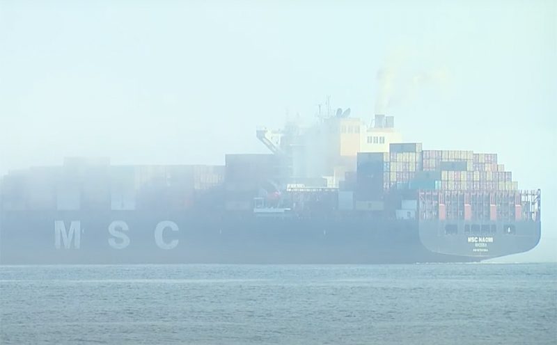 61% of shipping carriers voluntarily participating in program to protect whales in Puget Sound